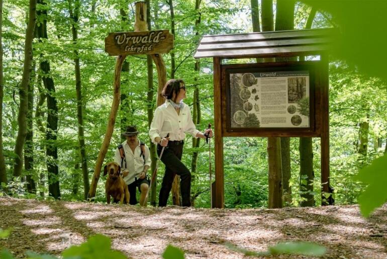 TOP-Wanderweg Erlebnis Iberg – Eichsfeld – Thüringen - 122. Deutscher ...